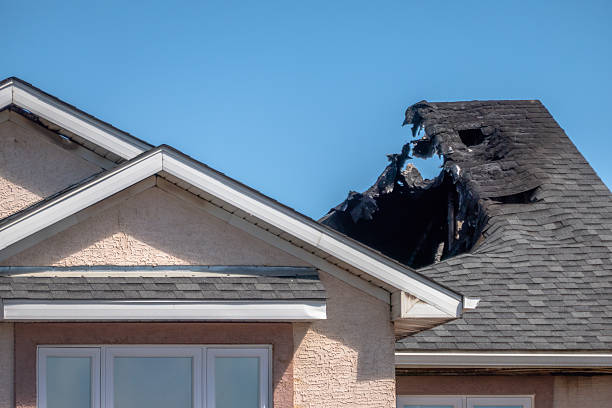 Top rated local Odor Removal specialists in Waconia, MN